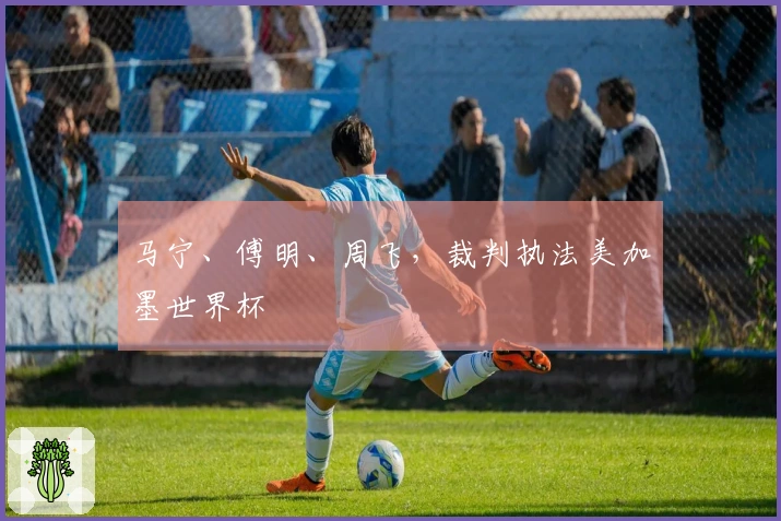 马宁、傅明、周飞，裁判执法美加墨世界杯