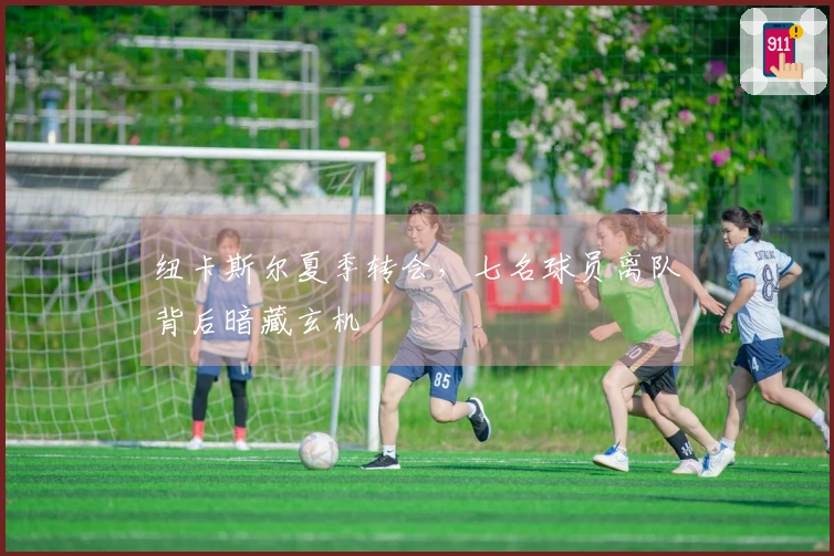 纽卡斯尔夏季转会，七名球员离队背后暗藏玄机