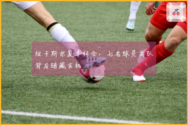 纽卡斯尔夏季转会，七名球员离队背后暗藏玄机